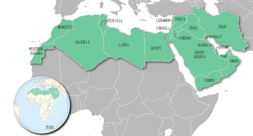 Страны MENA: если следует лить, то что и куда