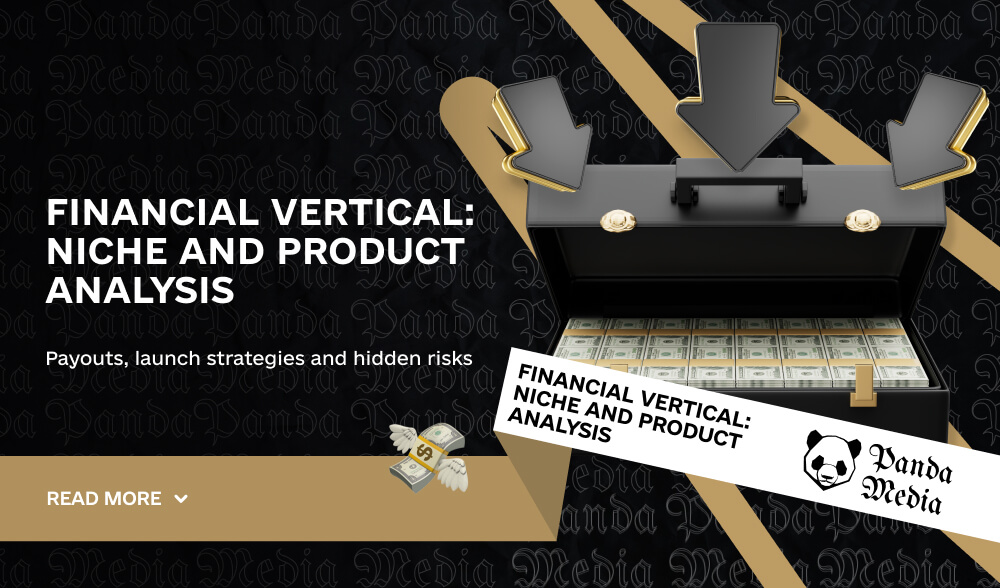 Financial vertical: Niche and product analysis